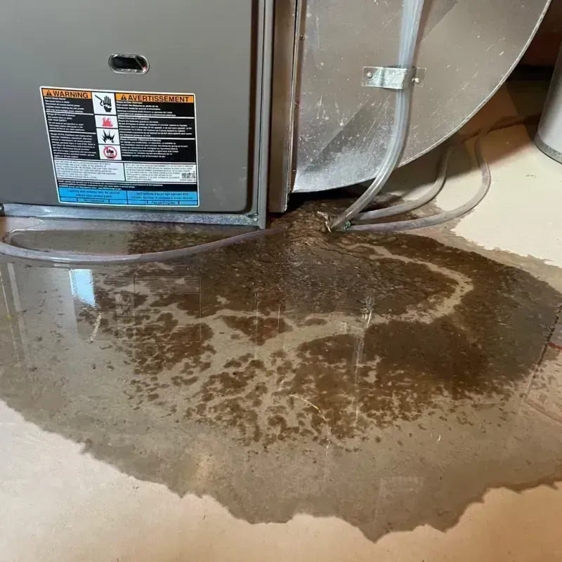 Appliance Leak Cleanup in Shiprock, NM